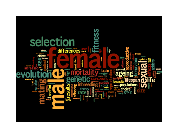 Wordle 2
