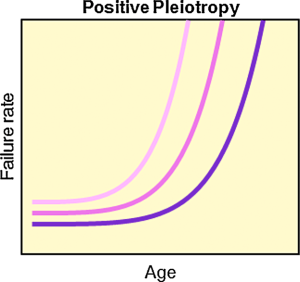 bies201500025-blkfxd-0001-m